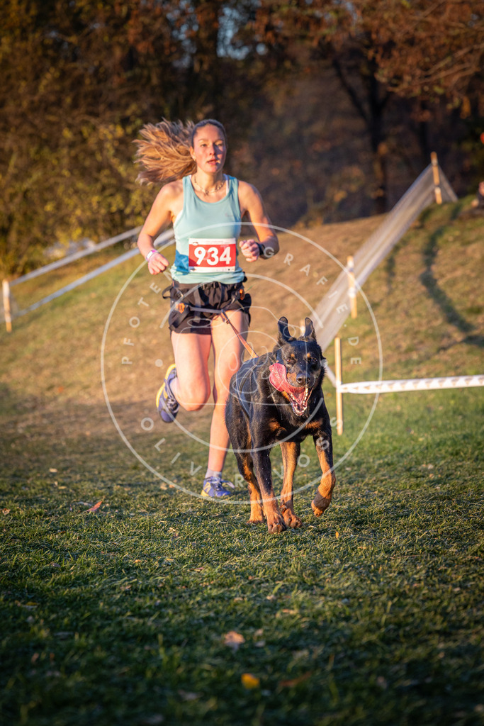 CaniXpix_0L8A1843 | Hundefotografie, Tierfotograf, Pfotenfotografie, Fotoshooting Hund, Hunde Portrait, Hundesport, Hundeportraits, Heideshooting, Hunde, Sportfotograf, Hundefotograf, Turnierhundsport, THS,  - Realisiert mit Pictrs.com