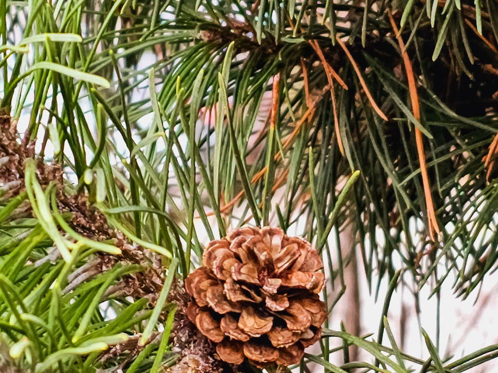 PSX_20230308_234332 | mtkfoto_ - Realisiert mit Pictrs.com