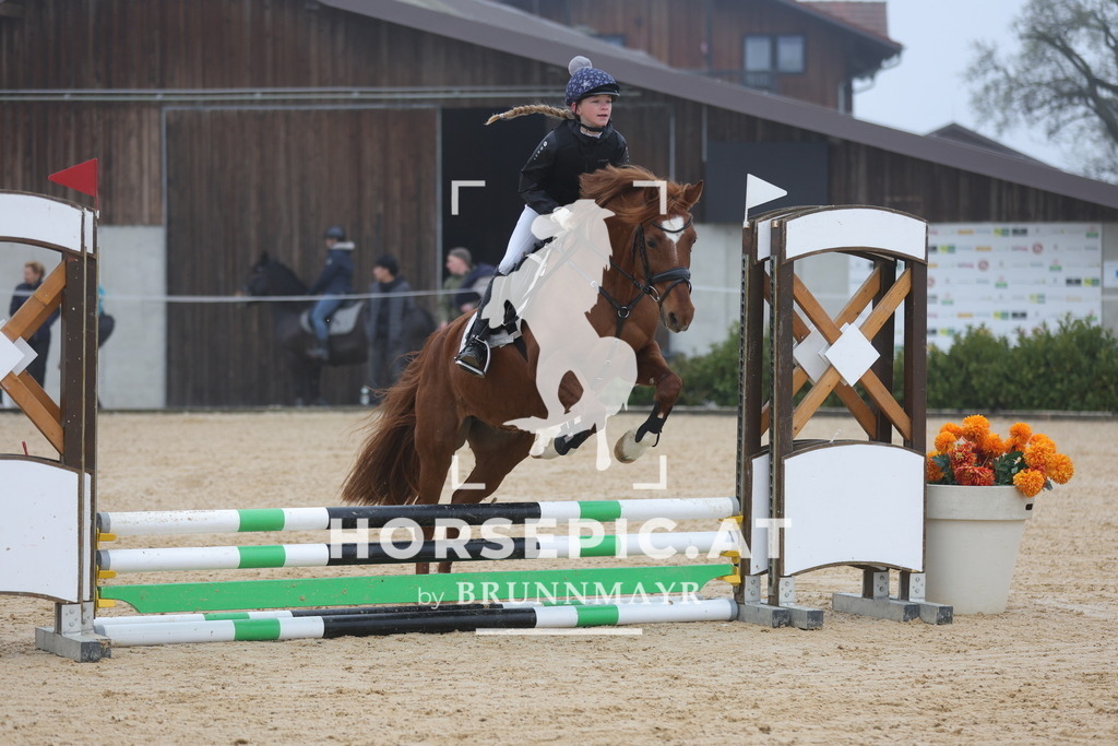 0P6A8216 | Willkommen bei Brunnmayr - Design & Fotografie – Ihrem Spezialisten für Reitturniere und Pferdeveranstaltungen in Oberösterreich, Salzburg und Bayern! Seit über 17 Jahren sind wir leidenschaftlich dabei.