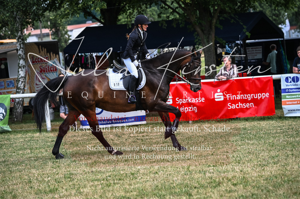 DSC_8329 | Pferde- und Turnierfotografie in Westsachsen. Pferdeportraits, Auftragszeichnungen und intuitive Kunst.