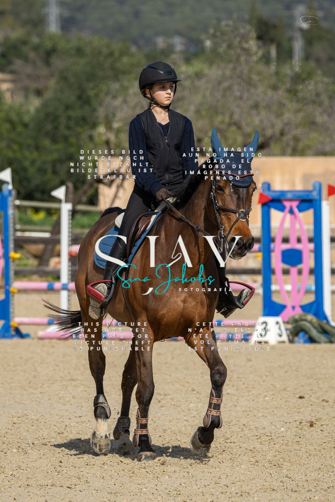 IMG_6689 | s-jay-photography - Realisiert mit Pictrs.com