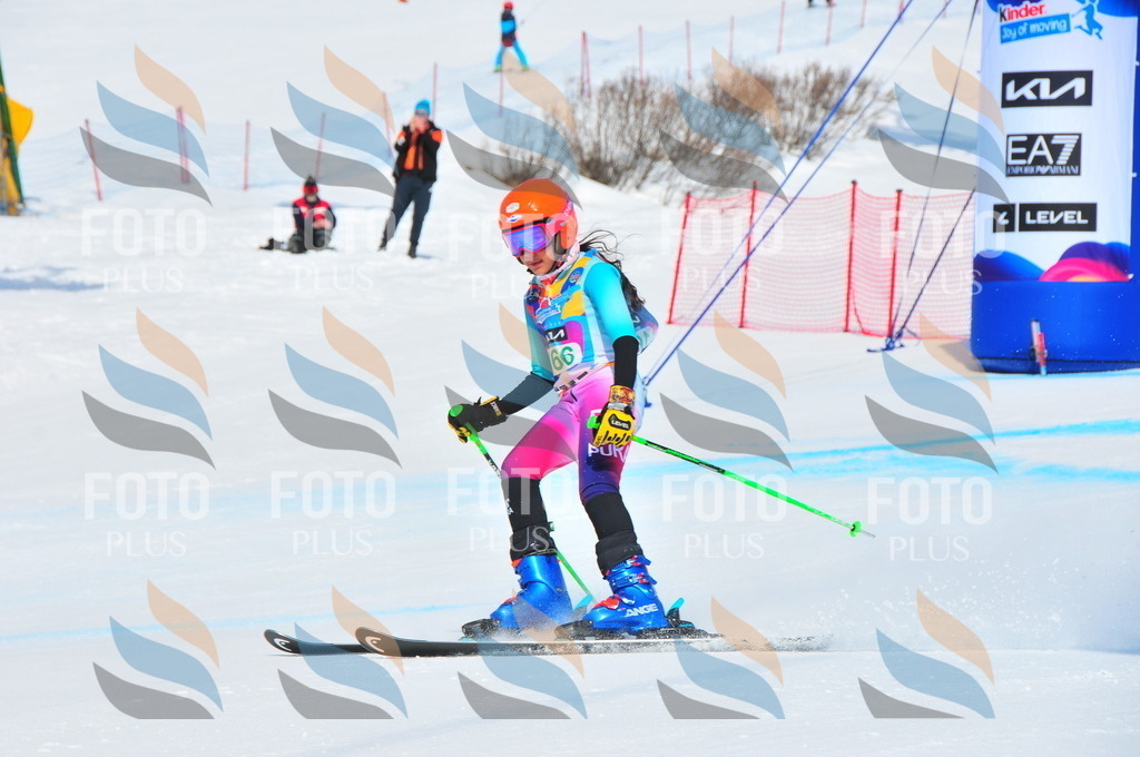 DSC_1491 | holidayphoto