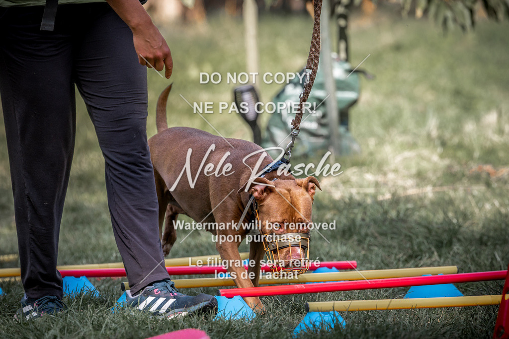 nelerasche_slaw24Sa_112 | nelerasche