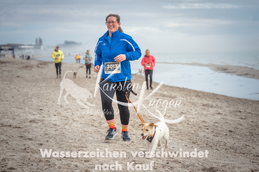 1146_ZZ90893 | kk-dogfotos