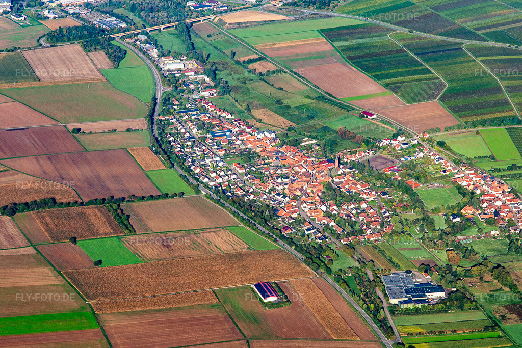 Luftbild: Ortschaft von Osten im Ortsteil Kapellen in Kapellen-Drusweiler im Bundesland Rheinland-Pfalz in Deutschland. Foto: IMG_143489.jpg vom 29.09.2024 durch Werner Riehm/FLY-FOTO.de