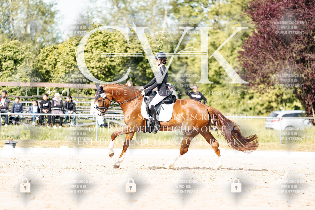 CK900339 | Turnierfotografie Pferdefotografie Trier Rheinland-Pfalz Pferdesport Reitsport Tierfotografie Sportfotografie Pferdevideo Pferdevideografie Equestrianvideography equestrianphotography  - Realisiert mit Pictrs.com