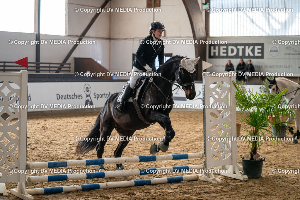 Kranichstein Tag 2-747 | dv-media-shop - Realisiert mit Pictrs.com