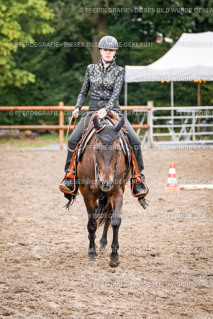 DSC03196 | Pferdegrafie