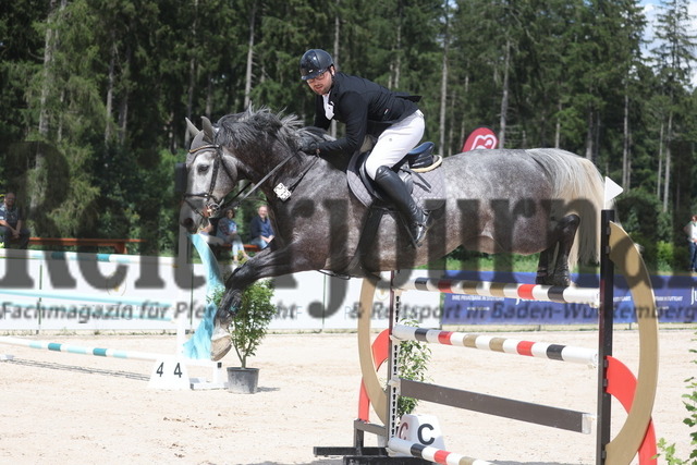 Waldachtal-Salzstetten_2024_Prfg.Nr.16_Amateur-Springreiter-Club_Jürgen Eberhard_Con Fabio (7) | Alle Fotos der Reiterjournal Fotografin Doris Matthaes im Reiterjournal Online-Fotoshop. - Realisiert mit Pictrs.com