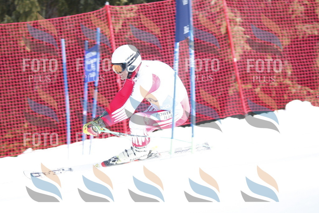 D6893 | holidayphoto