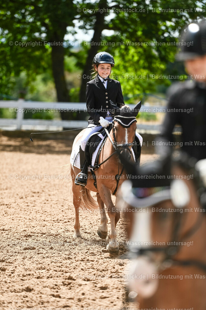 20230716_10-3_Reiter-WB Schritt - Trab - Galopp_0031 | equistock