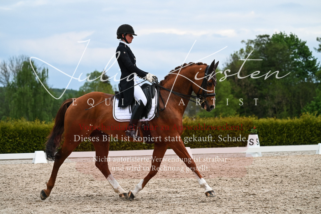 20230513_JK-Röhrsdorf-13-655 | Pferde- und Turnierfotografie in Westsachsen. Pferdeportraits, Auftragszeichnungen und intuitive Kunst.