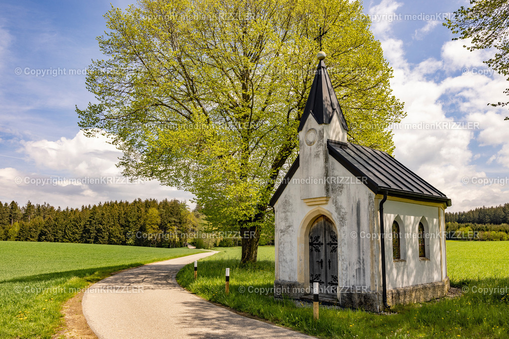 _J3A0583 | medienkrizzler - Realisiert mit Pictrs.com