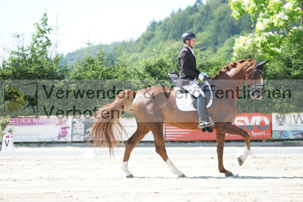 DSC02313 | equestrian-live-com