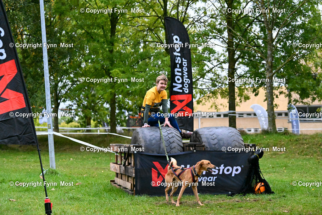 DSC_2786 | Hallo und herzlich Willkommen auf meiner Shop-Seite Fynn Most.

Ich wünsche Dir viel Spaß beim stöbern durch die Bilder, wenn Du Fragen hast oder Bilder vermisst, kannst du mir gerne eine Nachricht schreiben. - Realisiert mit Pictrs.com