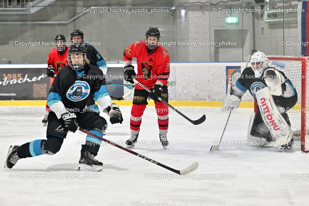 Lendhafen Seelöwen vs. Spartans Althofen | #4 Kompain Mark Lendhafen Seelöwen, #20 Ban Christian Spartans Althofen, #37 Juch Lukas Lendhafen Seelöwen, Lendhafen Seelöwen vs. Spartans Althofen, Lendhafen Seelöwen vs. Spartans Althofen am 14.02.2025 in Ferlach (HTC Eishalle Ferlach), Austria, (Photo by Bernd Stefan)