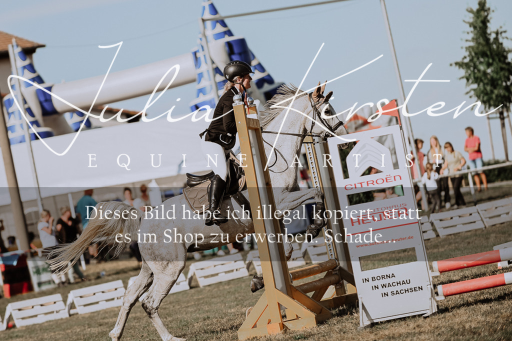 DSC_9498 | Pferde- und Turnierfotografie in Westsachsen. Pferdeportraits, Auftragszeichnungen und intuitive Kunst.