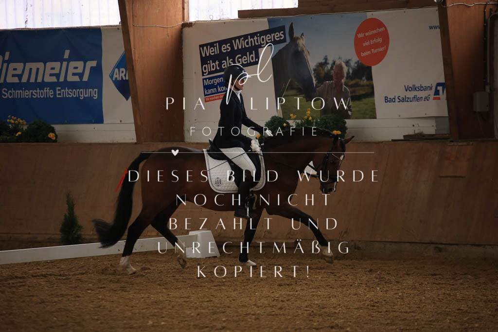 IMGT0154 | pl-fotografie