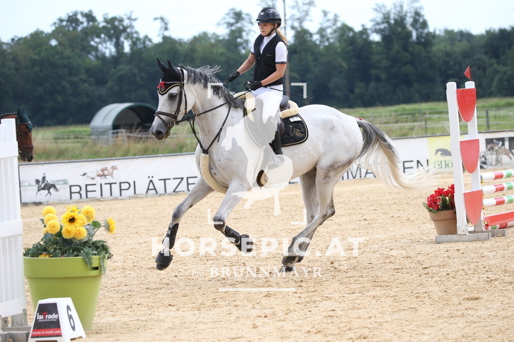 DL2Q3718 | Willkommen bei Brunnmayr - Design & Fotografie – Ihrem Spezialisten für Reitturniere und Pferdeveranstaltungen in Oberösterreich, Salzburg und Bayern! Seit über 17 Jahren sind wir leidenschaftlich dabei.