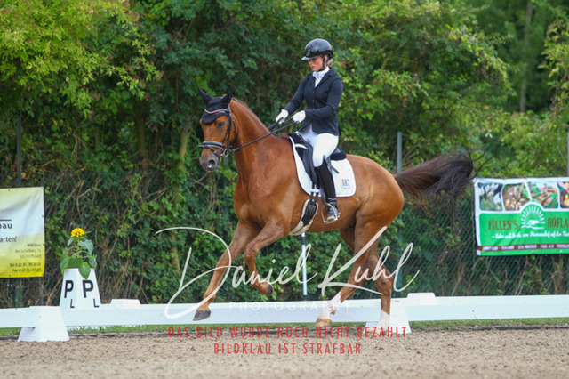 DKP40290 | Turniersportfotografie; Pferdefotografie; Dressurfotografie