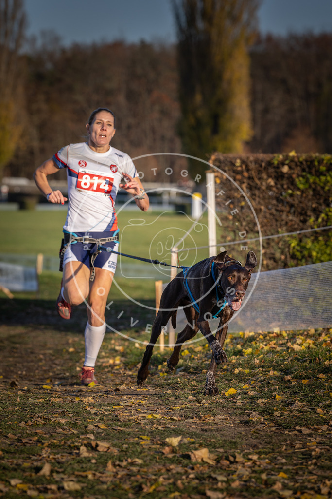 CaniXpix_DV3A3106 | Hundefotografie, Tierfotograf, Pfotenfotografie, Fotoshooting Hund, Hunde Portrait, Hundesport, Hundeportraits, Heideshooting, Hunde, Sportfotograf, Hundefotograf, Turnierhundsport, THS,  - Realisiert mit Pictrs.com
