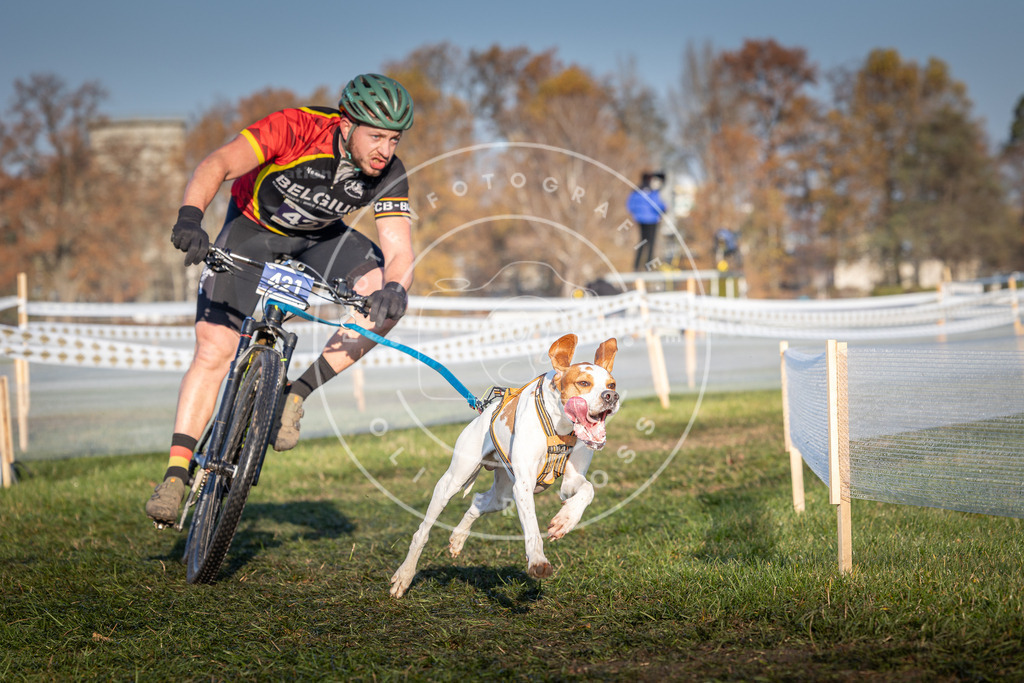 CaniXpix_0L8A4161 | Hundefotografie, Tierfotograf, Pfotenfotografie, Fotoshooting Hund, Hunde Portrait, Hundesport, Hundeportraits, Heideshooting, Hunde, Sportfotograf, Hundefotograf, Turnierhundsport, THS,  - Realisiert mit Pictrs.com