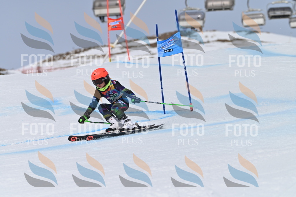 BGV_4463 | holidayphoto