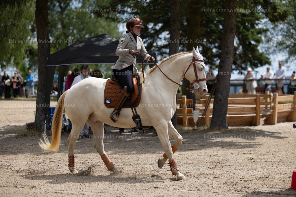 Masterclass_stoibphotography_C2_C7989.CR3 | working equitationturnier fotograf videograf stoibphotography marixx film working equitation deutschland reitsport turnierfotografie eventfotografie equestrian events