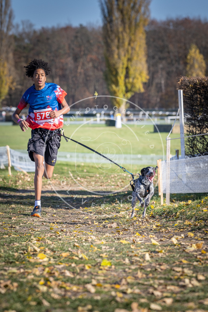 CaniXpix_DV3A9002 | Hundefotografie, Tierfotograf, Pfotenfotografie, Fotoshooting Hund, Hunde Portrait, Hundesport, Hundeportraits, Heideshooting, Hunde, Sportfotograf, Hundefotograf, Turnierhundsport, THS,  - Realisiert mit Pictrs.com