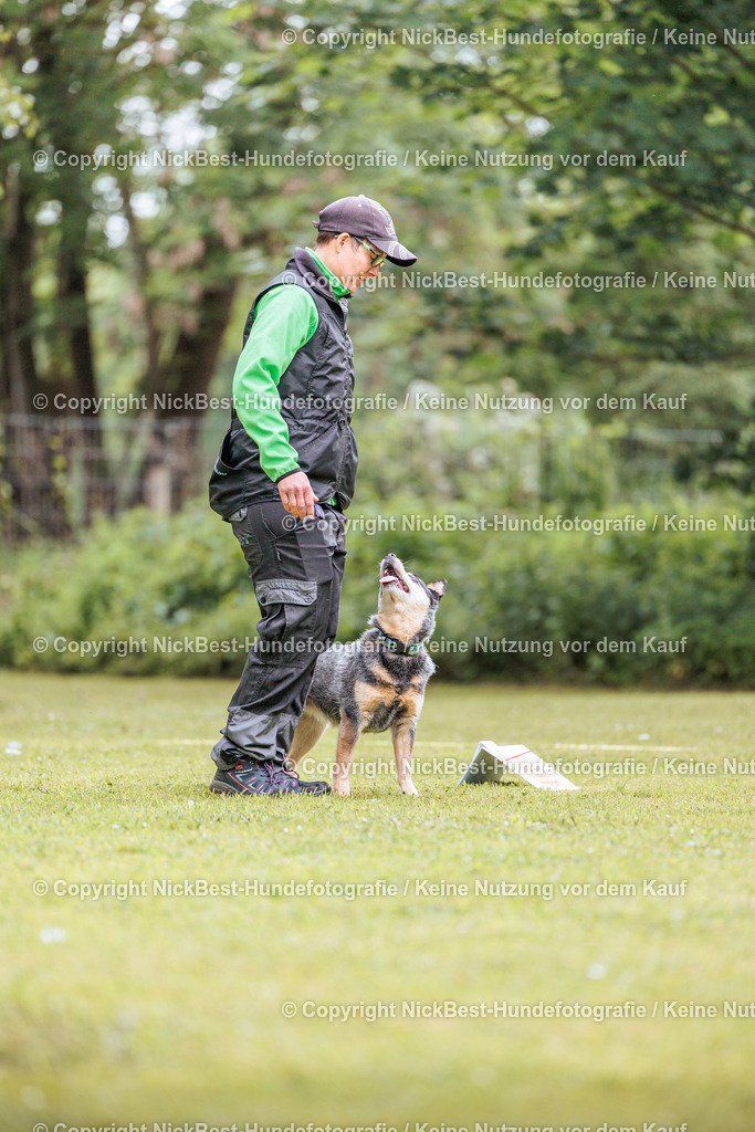 RO-Blumenthal-2026-Nickbest-Hundefotografie-1769 | Dein Hund! Dein Moment! Deine Erinnerungen! Hundefotografie in Bremen Blumenthal. Ich fange die besonderen Momente deines Vierbeiners ein – ob Indoor mit Blitzanlage oder in der freien Natur. Sicher dir dein Moment und dein Termin für eure Erinnerungen.