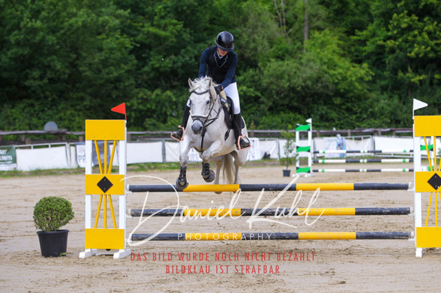 DKP41592 | Turniersportfotografie; Pferdefotografie; Dressurfotografie