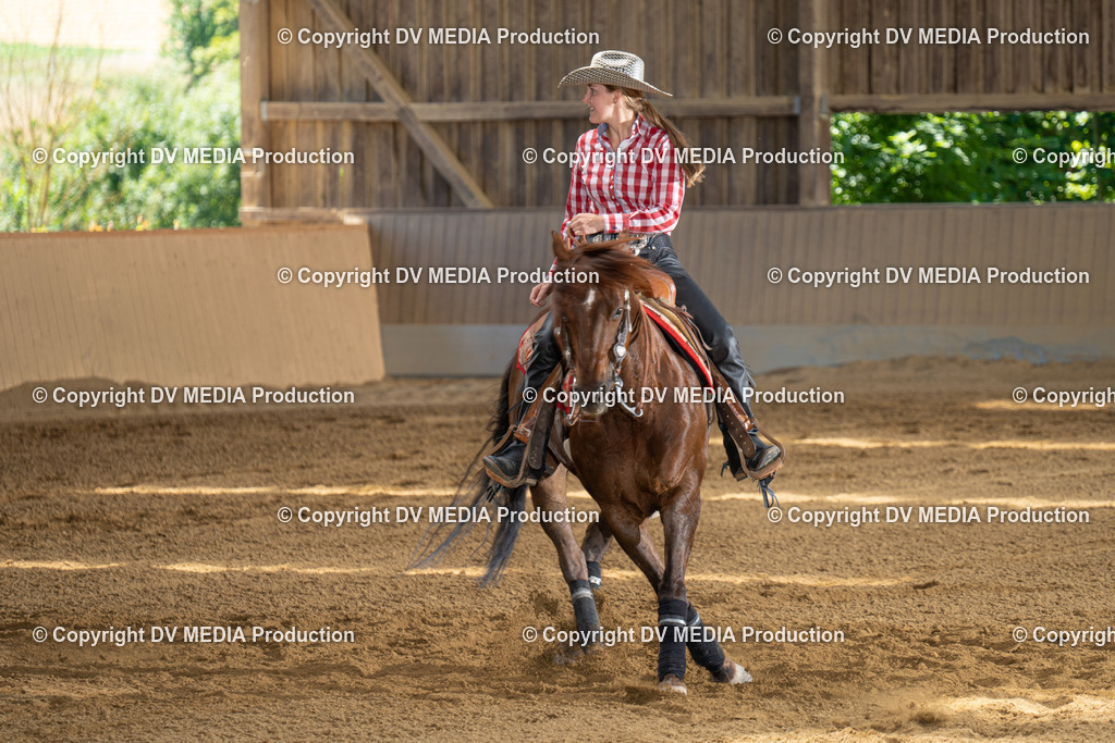 DSC00073 | dv-media-shop - Realisiert mit Pictrs.com