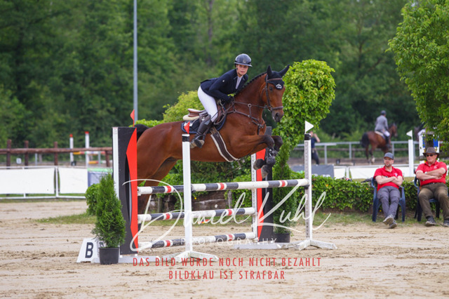 DKP41749 | Turniersportfotografie; Pferdefotografie; Dressurfotografie