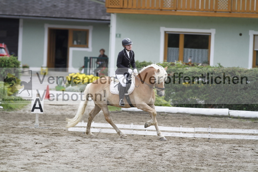 _MG_0971 | equestrian-live-com