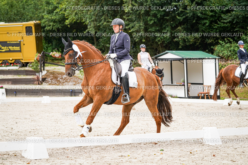 DSC08135 | Pferdegrafie