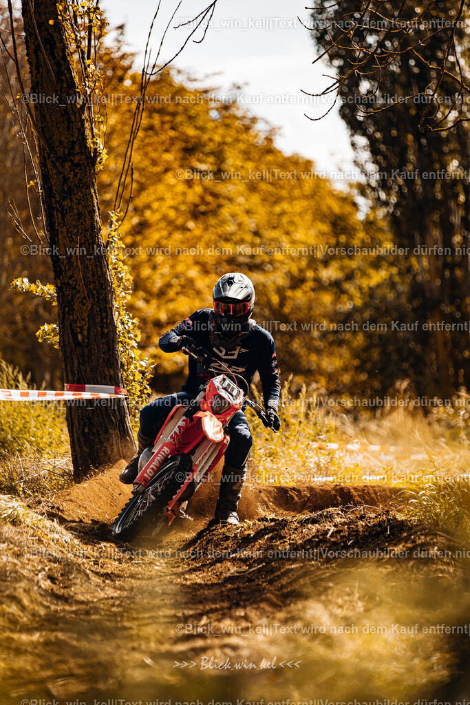 E68A2419 | blick_win_kel