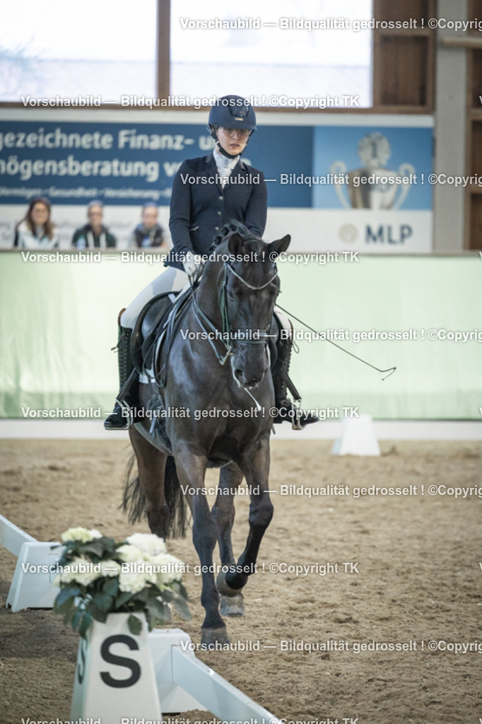 _D5A3522 | Emotionale Pferde- & People-Fotografie rund um Heidelberg, Leimen & Umgebung. Natürliche Fotos von Pferd, Mensch & Familie. Jetzt Termin sichern!