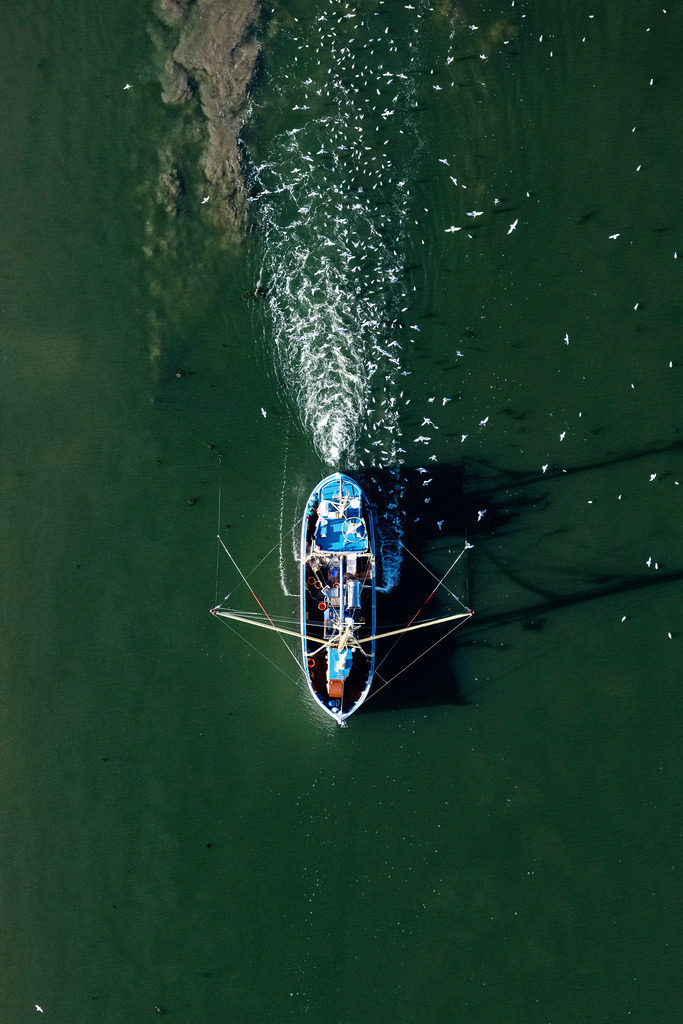 dr__0057274.jpg | NORDSTRAND 18.09.2020 Senkrecht- Luftbild aus der Satelliten- Perspektive vom Fischfang - Schiff in Fahrt auf der Nordsee in Nordstrand im Bundesland Schleswig-Holstein, Deutschland. // Vertical aerial view from the satellite perspective of the fishing - ship under way of North Sea in Nordstrand in the state Schleswig-Holstein, Germany. Foto: Daniel Reiter