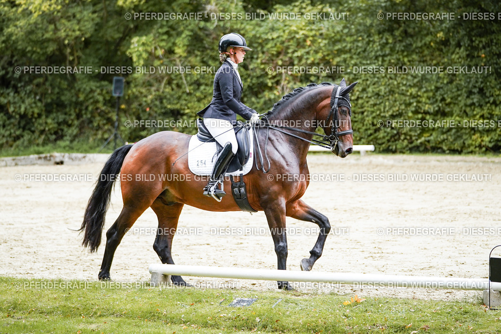 DSC09744 | Pferdegrafie