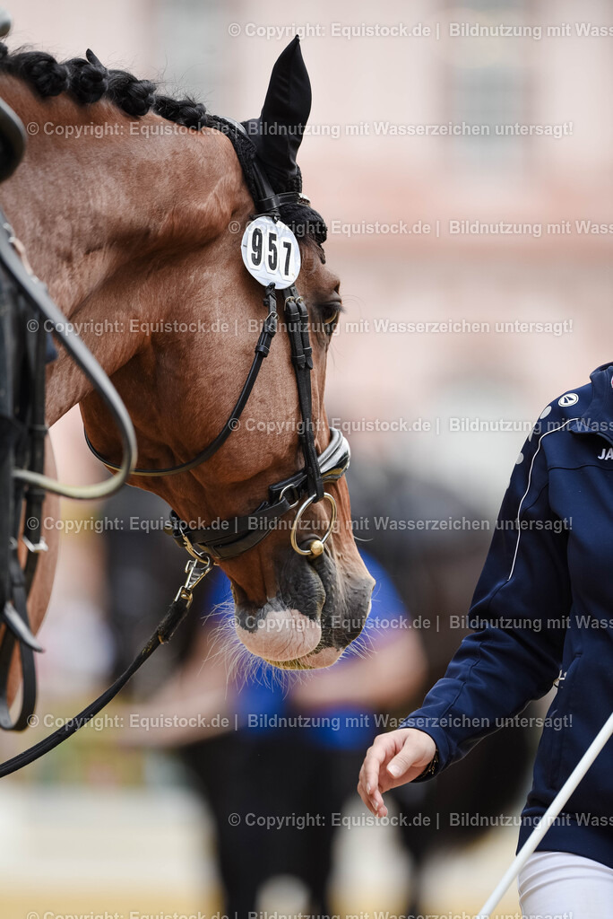 20250608_CVI-Masterclass_1027 | Foto: Thomas Hartig