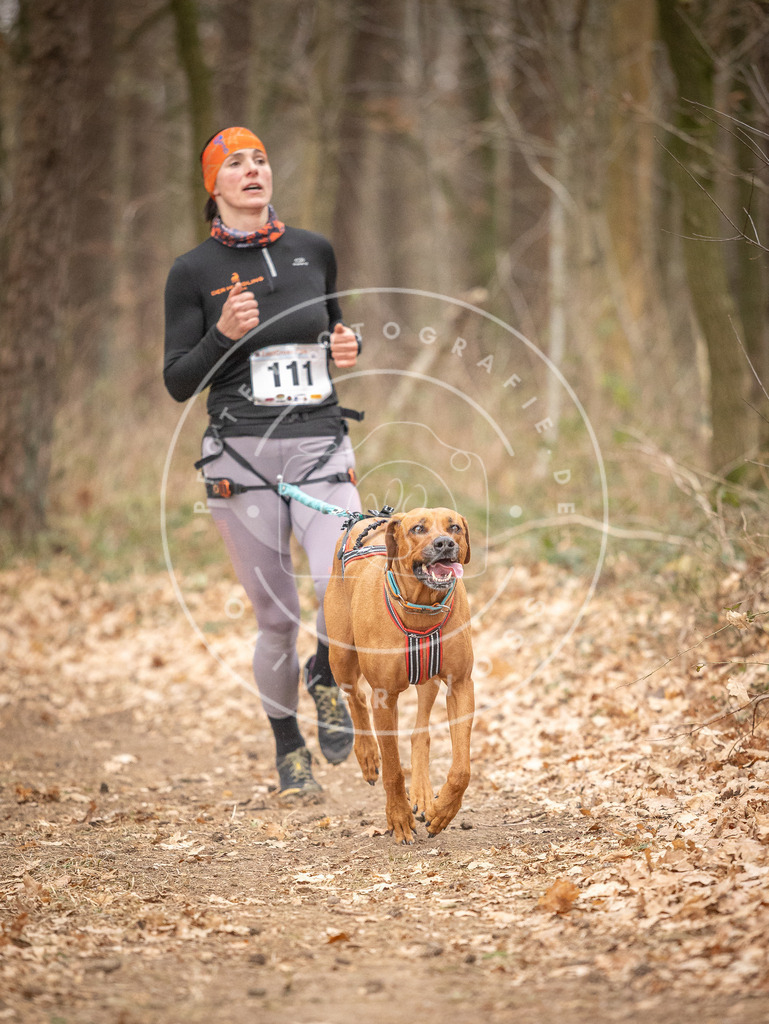 Pfotenfotografie_DV3A7692 | Hundefotografie, Tierfotograf, Pfotenfotografie, Fotoshooting Hund, Hunde Portrait, Hundesport, Hundeportraits, Heideshooting, Hunde, Sportfotograf, Hundefotograf, Turnierhundsport, THS,  - Realisiert mit Pictrs.com