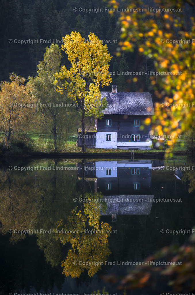 Weisenblasen Walstern Hubertussee_2014_6178 | Fotos und Fotoprodukte - Realisiert mit Pictrs.com