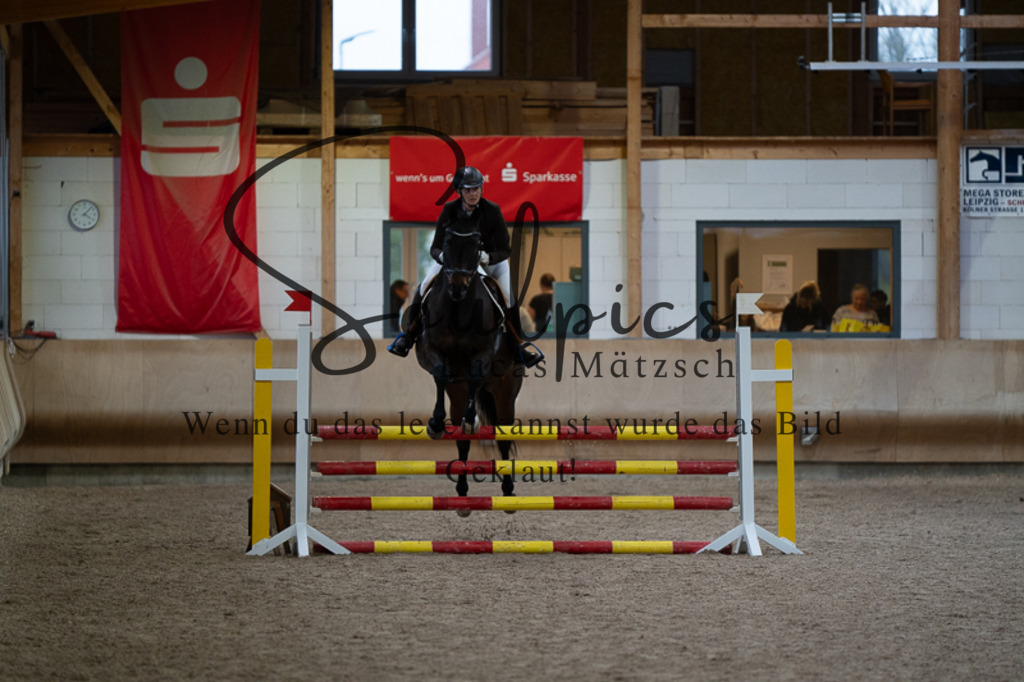 A7V03134 | Pferdefotograf