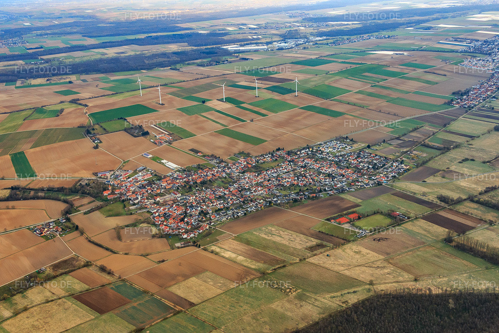 Luftbild: Dorfübersicht im Winter aus Südwesten in Minfeld im Bundesland Rheinland-Pfalz in Deutschland. Foto: IMG_076673.jpg vom 28.03.2015 durch Werner Riehm/FLY-FOTO.de