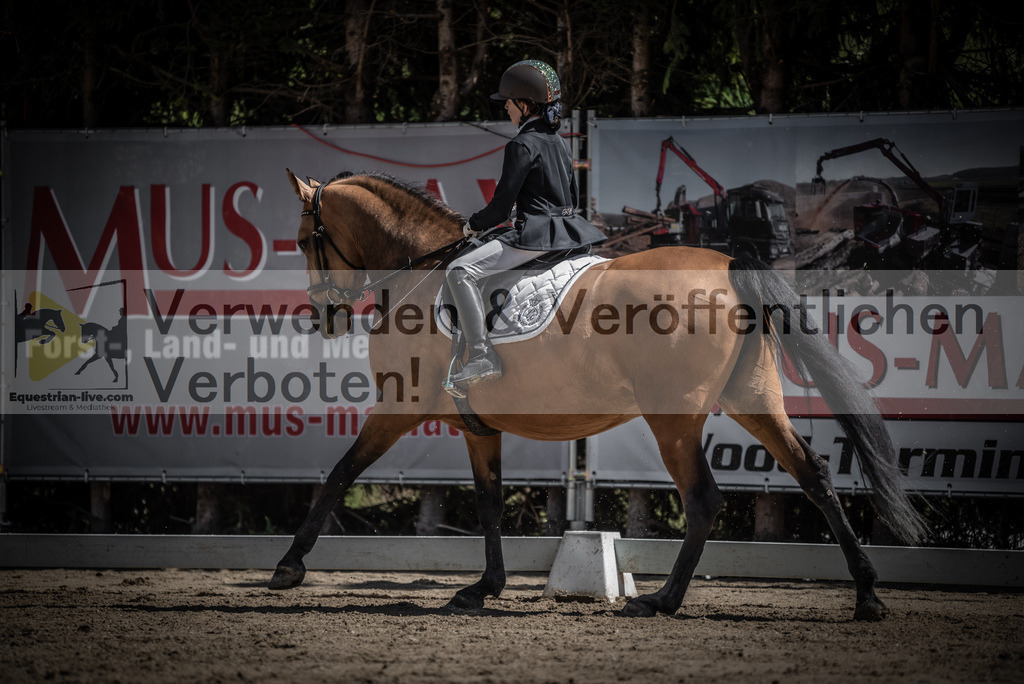 DSC_0847 | equestrian-live-com