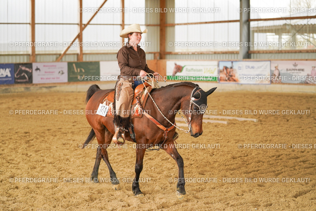 DSC04394 | Pferdegrafie