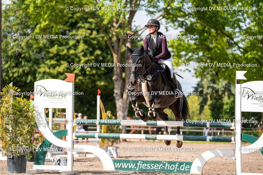 Eppelheim Tag 2-597 | dv-media-shop - Realisiert mit Pictrs.com