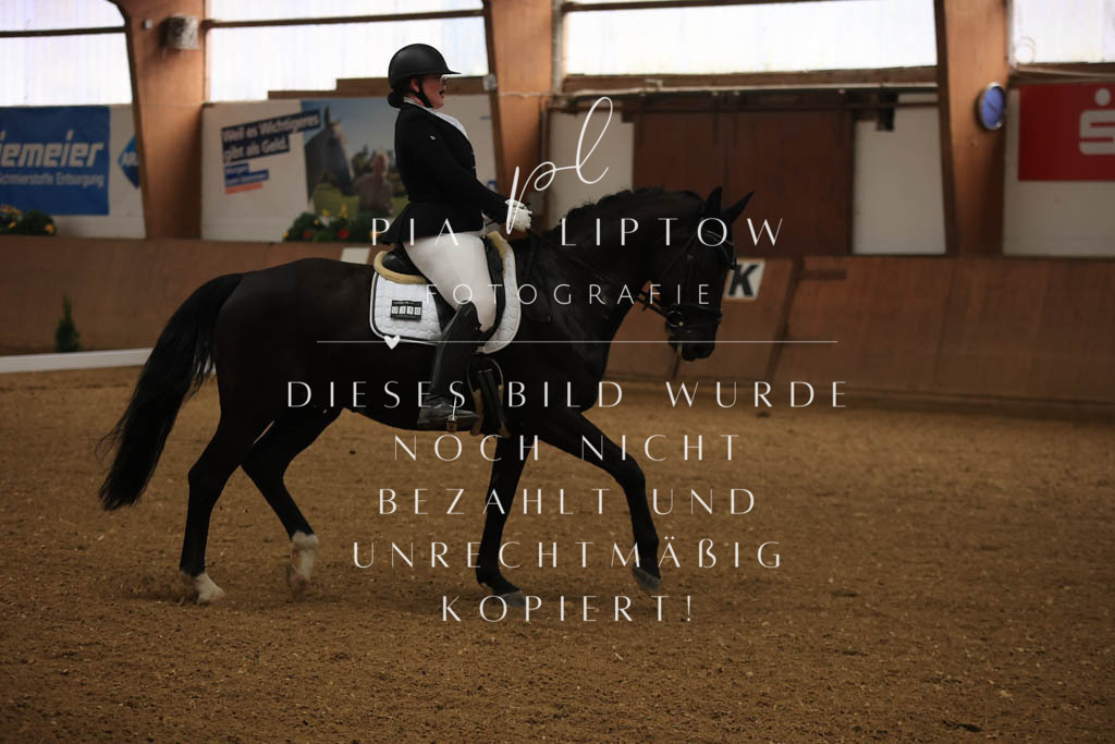 IMGT9800 | pl-fotografie