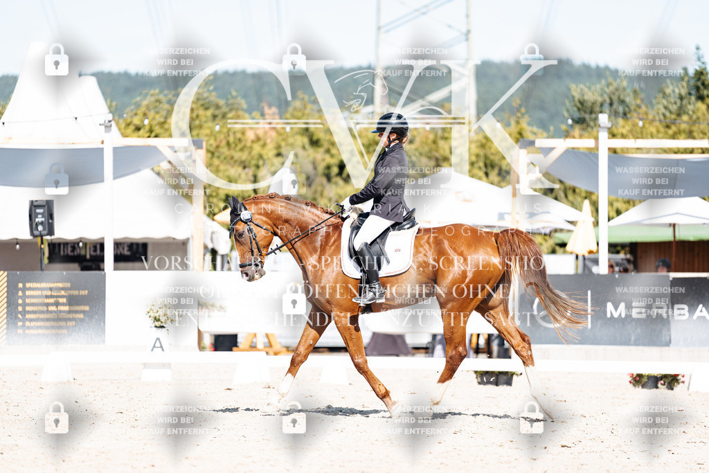 CK908817 | Turnierfotografie Pferdefotografie Trier Rheinland-Pfalz Pferdesport Reitsport Tierfotografie Sportfotografie Pferdevideo Pferdevideografie Equestrianvideography equestrianphotography  - Realisiert mit Pictrs.com