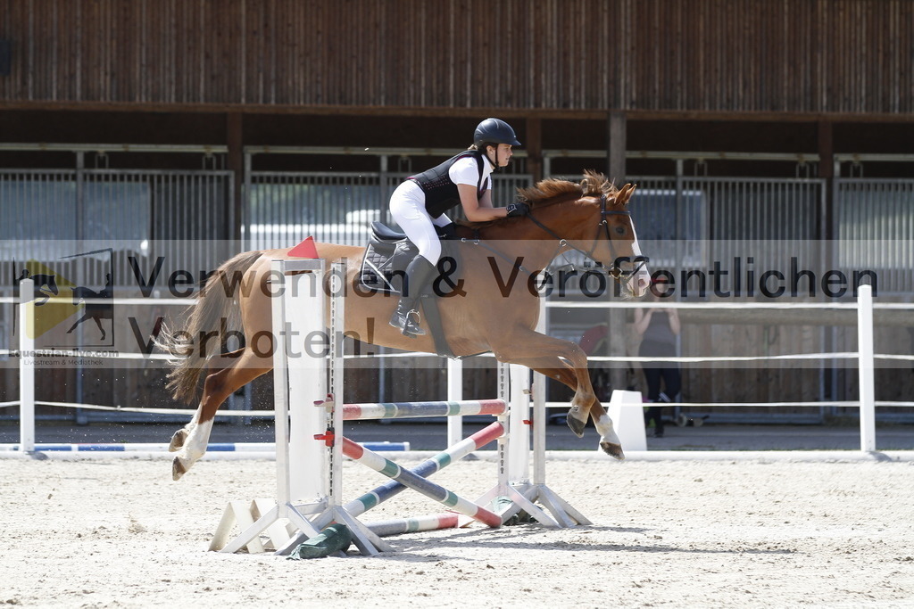 _MG_6156 | equestrian-live-com